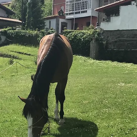 Palacio De 2* Libardon